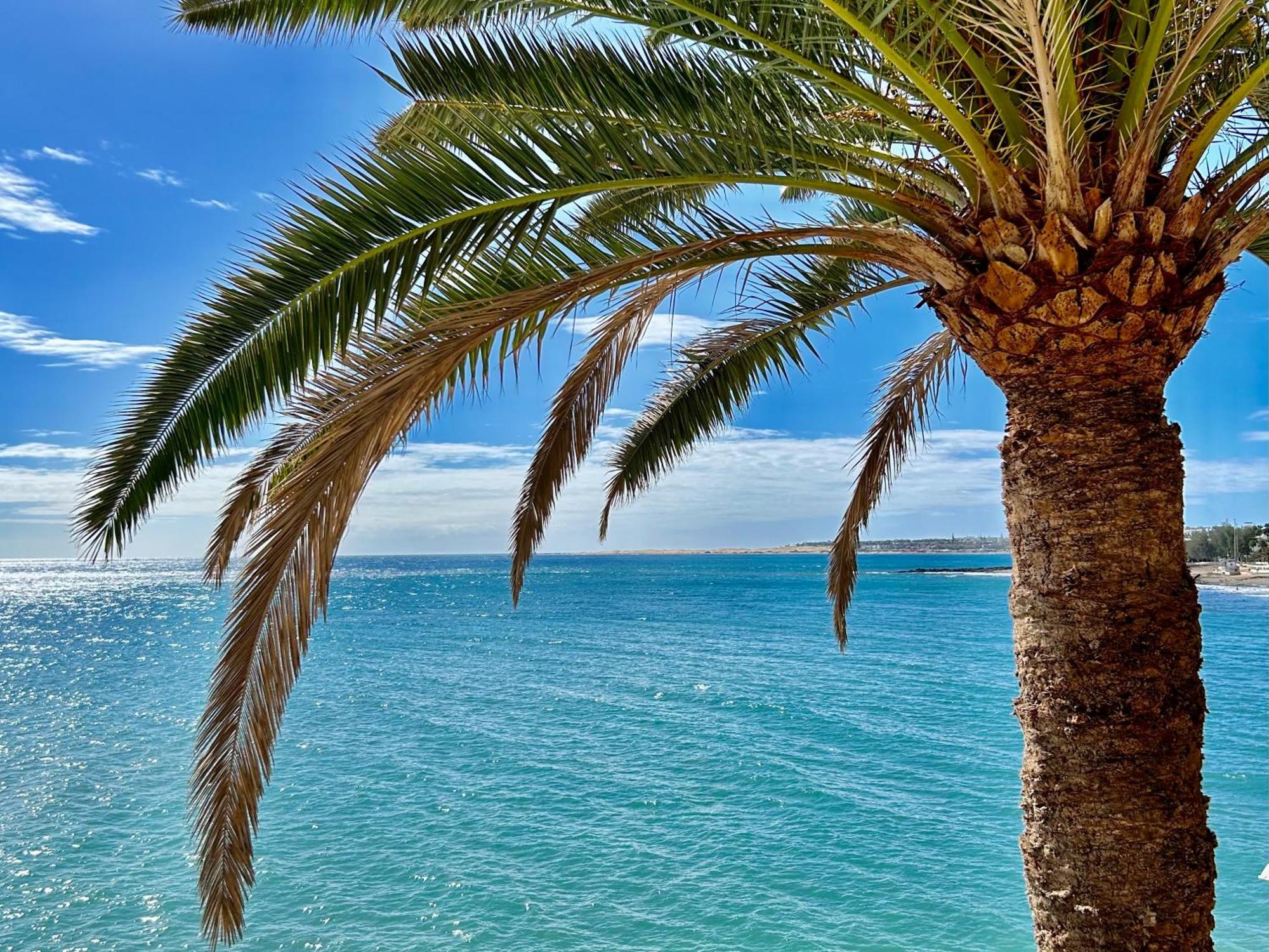 Sobre El Mar Con Vistas A Las Dunas De Maspalomas San Agustín Εξωτερικό φωτογραφία